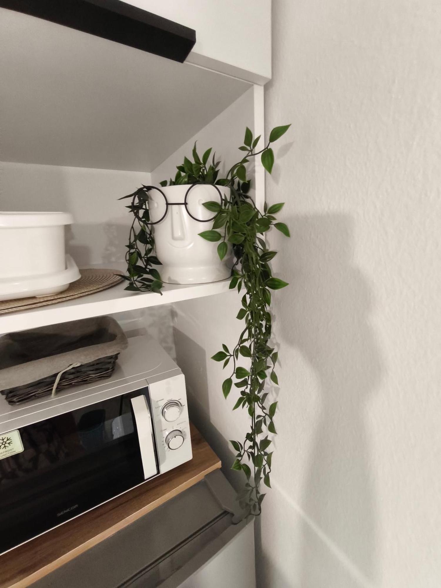 Apartmani Romana Punat Værelse billede